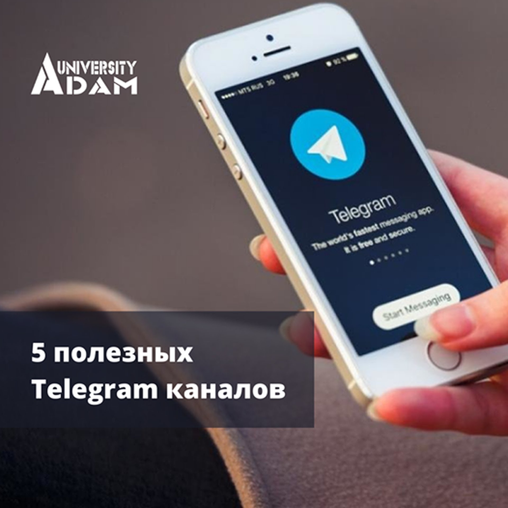 5 useful Telegram channels